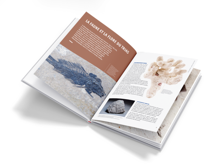 Édition - print - Graphiste freelance à Lyon | Catherine Benini