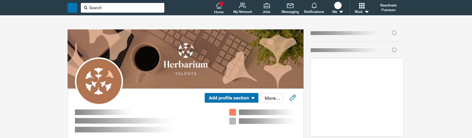 Bannière LinkedIn pour identité visuelle Herbarium Talents