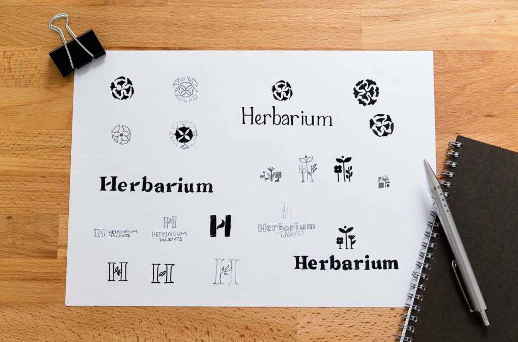croquis de recherches pour logo et identité visuelle Herbarium Talents